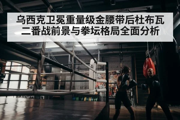 boxer training gym